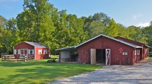 The Red Barn will be hosting a Chamber After Hours in partnership with the Leeds Area Chamber of Commerce on Thursday, October 23, 2014 from 5:00 PM to 7:00 PM. This will be a great time to network with other business professionals