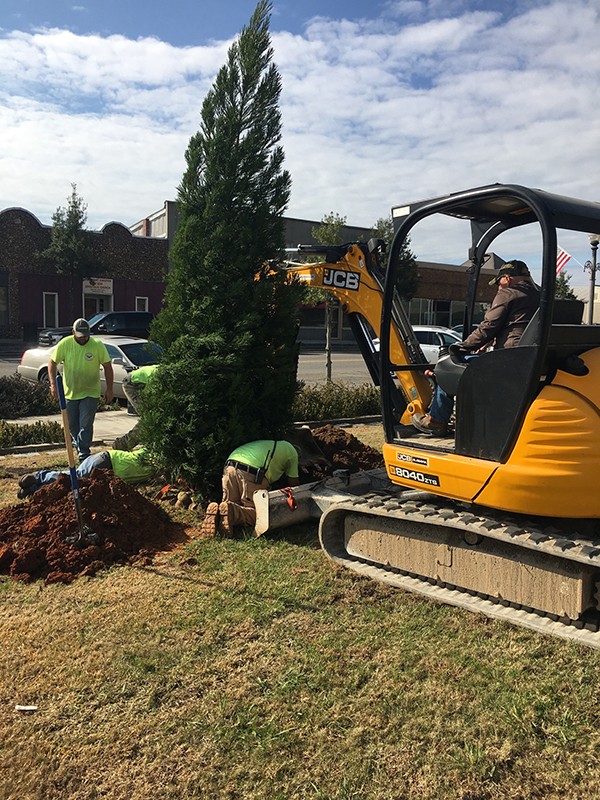 Leeds Downtown Christmas Tree Has Been Planted in preparation for  Leeds Downtown Christmas Tree Lighting Event coming up Thursday, November 29 at 6:30 pm