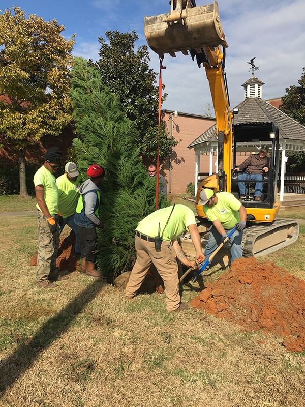 Leeds Downtown Christmas Tree Has Been Planted in preparation for  Leeds Downtown Christmas Tree Lighting Event coming up Thursday, November 29 at 6:30 pm