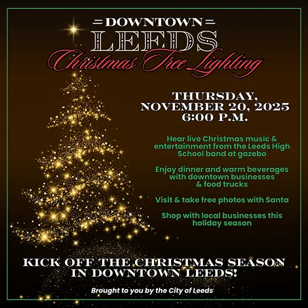 Christmas Tree Lighting 2025